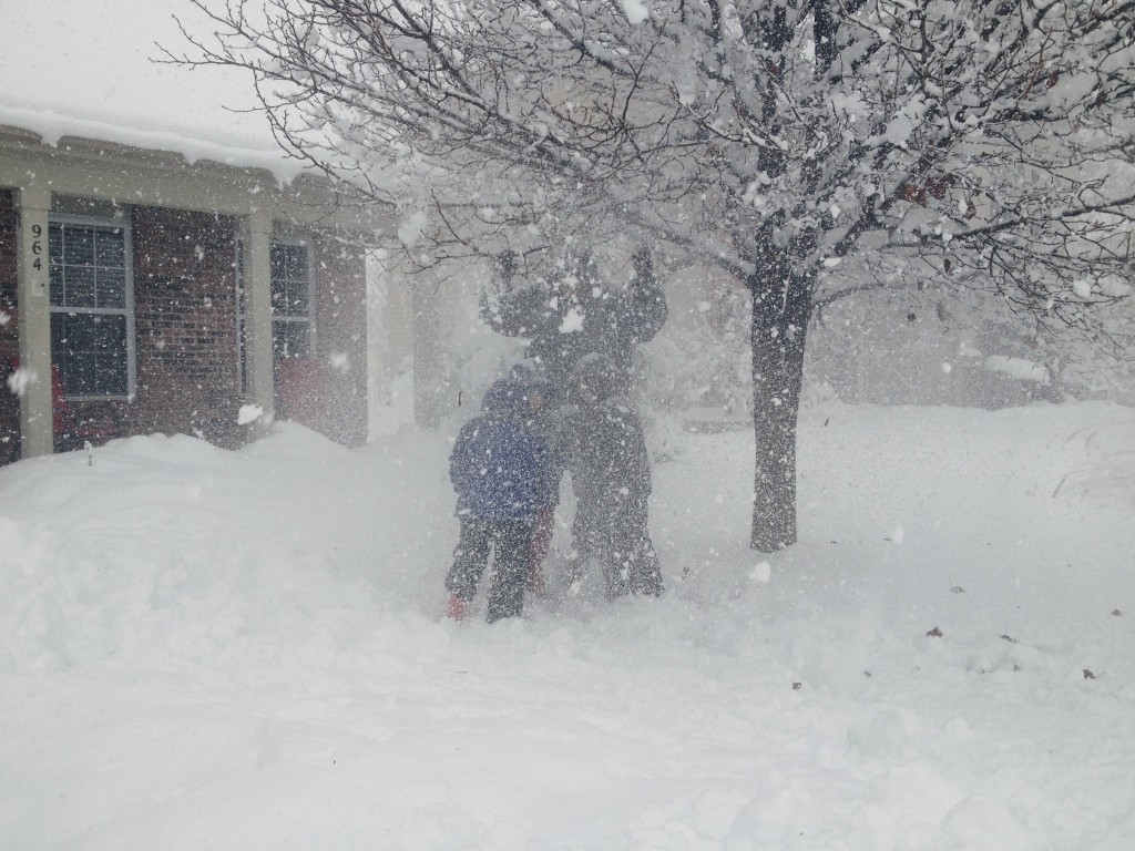 how to make a blizzard by shaking a tree