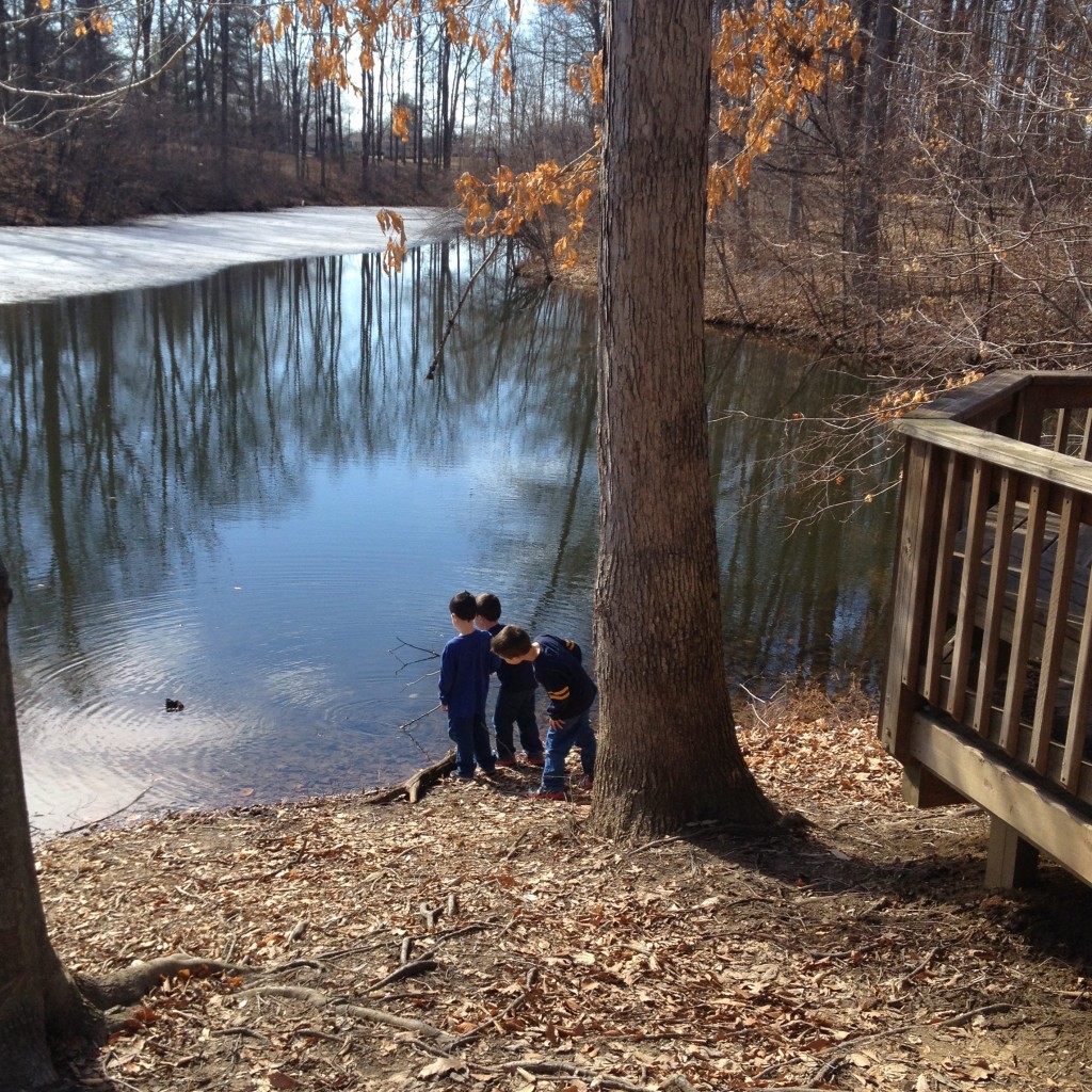ice-thawing-in-pond-reflection-kids