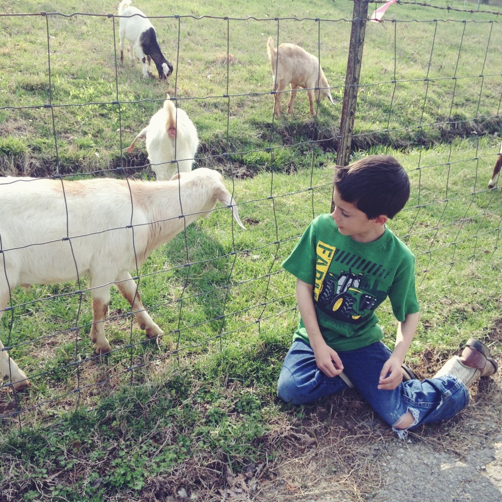 goat-farm-kids-alabama