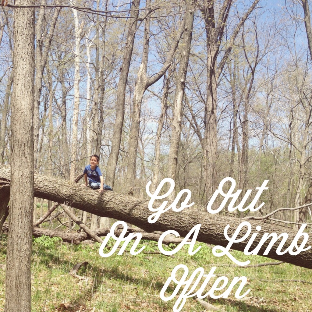 go-out-on-a-limb-often