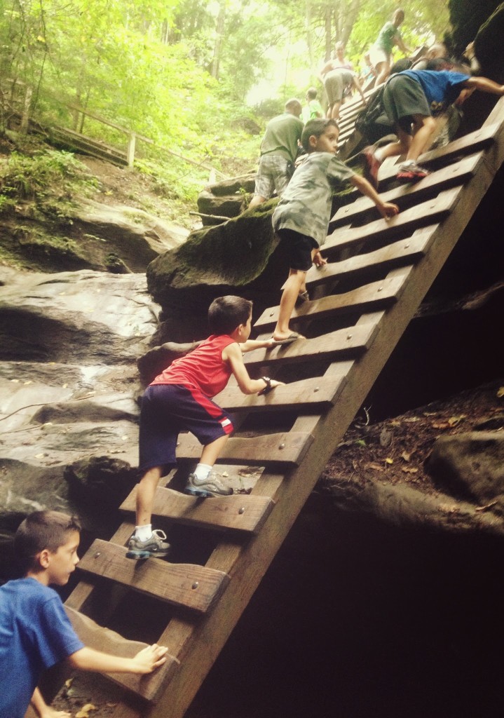 turkey-run-state-park-trail-3-ladders