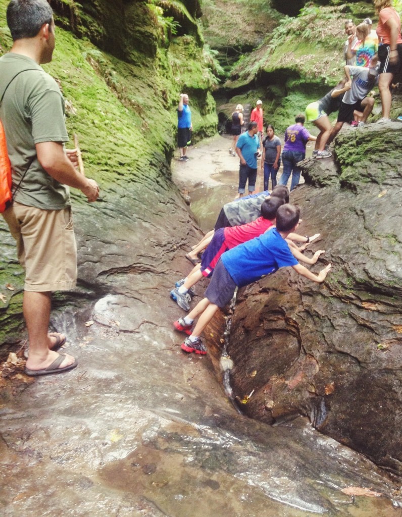 turkey-run-state-park-trail-3-ravine